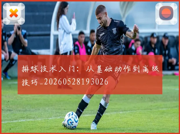 排球技术入门：从基础动作到高级技巧_20260528193026