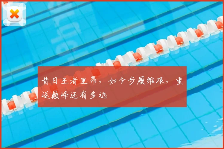 昔日王者里昂,如今步履维艰,重返巅峰还有多远